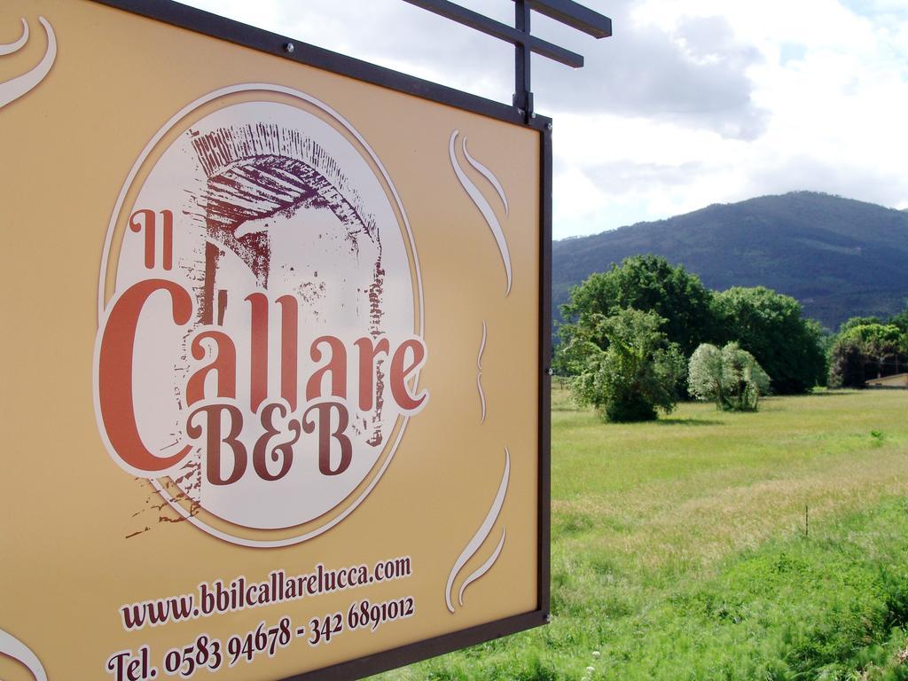 Il Callare Capannori Extérieur photo